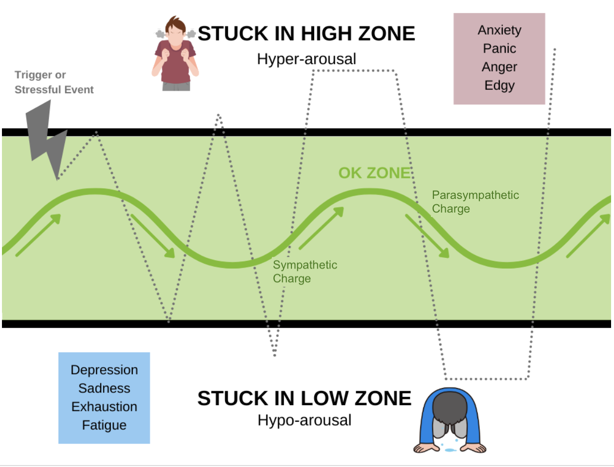 The resiliency zone, hyperarousal from sympathetic charge and hypoarousal from parasympathetic charge